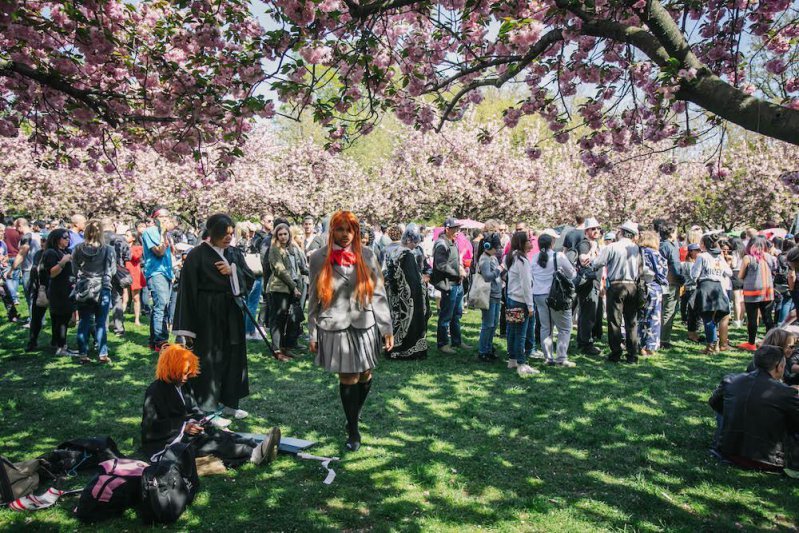 Coloridos disfraces en el Festival de la flor de cerezo en Nueva York 