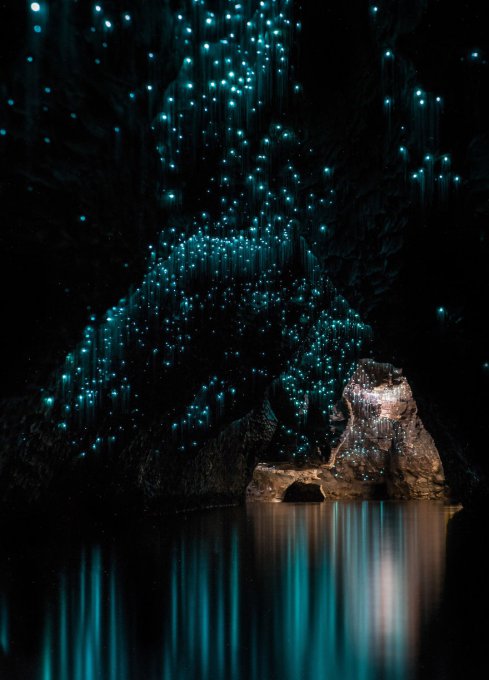 Estos gusanos brillantes convierten esta cueva neozelandesa en una noche estrellada  