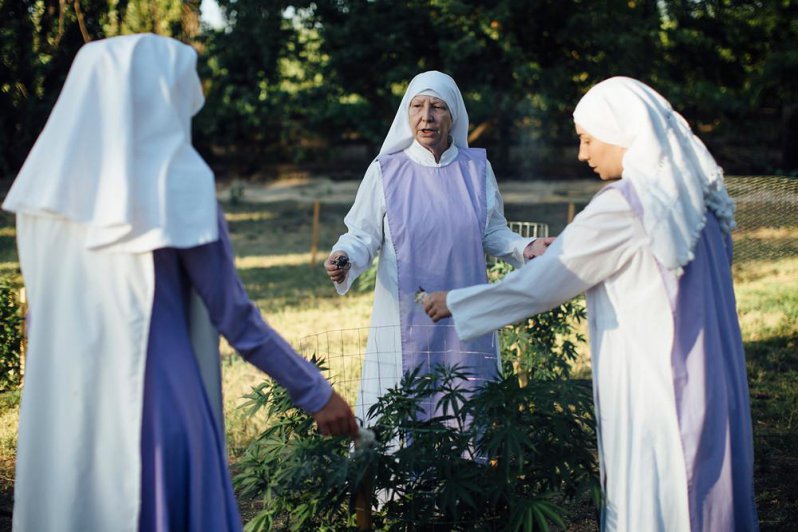 Para ellas, la mota es una religión; conoce a las monjas pachecas de California  