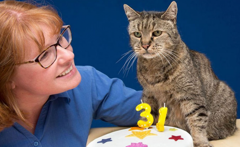 El gato más viejo del mundo tiene 31 años y aún le quedan vidas 