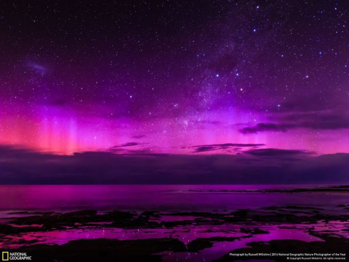 15 Finalistas del concurso de National Geographic a Fotógrafo de la naturaleza 2016 