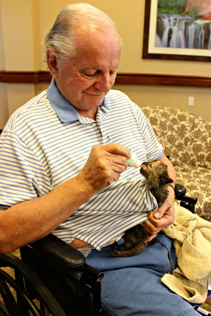 Un refugio animal forma equipo con un geriátrico para salvar tanto a los gatos como a los ancianos 