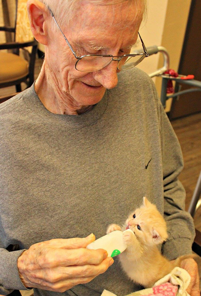 Un refugio animal forma equipo con un geriátrico para salvar tanto a los gatos como a los ancianos 