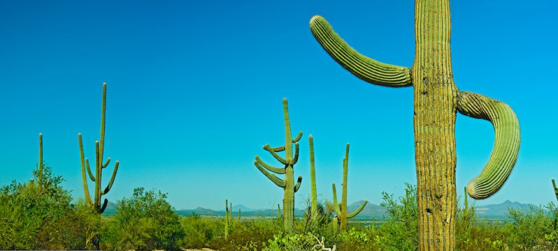 Conoce algunas de las muertes más ridículas de la historia... muchas pudieron evitarse 