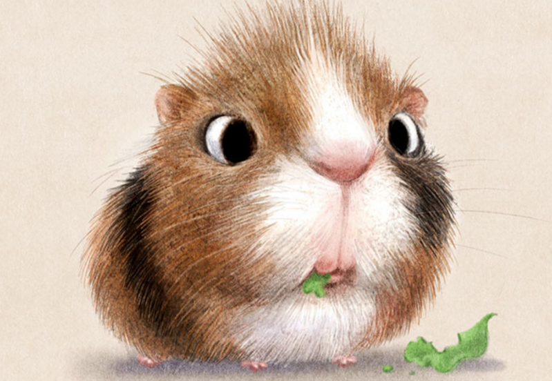Estas adorables ilustraciones de animales creadas por Sydney Hanson te harán sonreír 