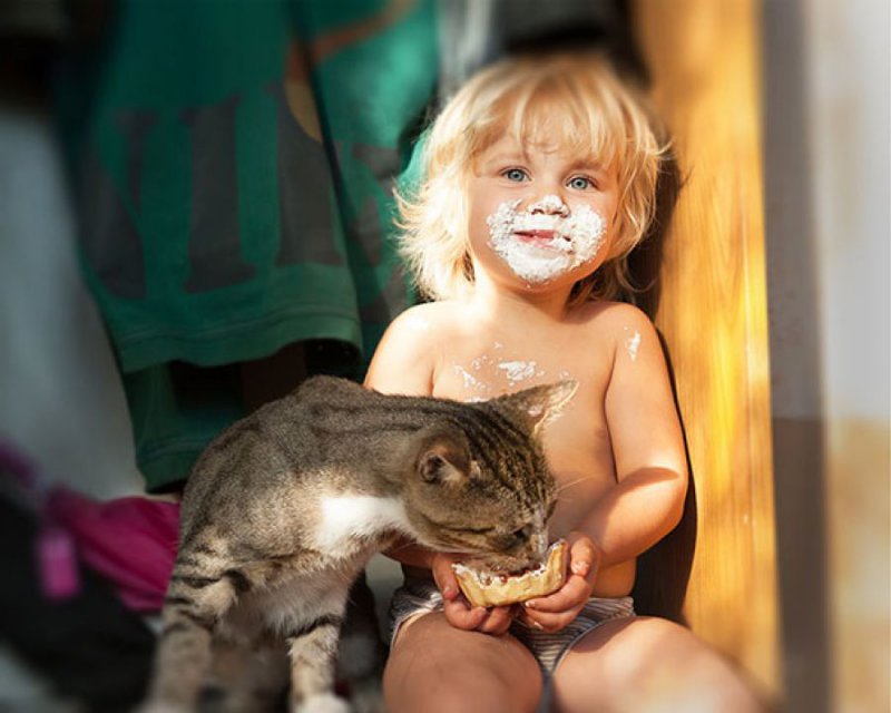 Las fotos que demuestran que todo niño necesita un gato en su vida. 