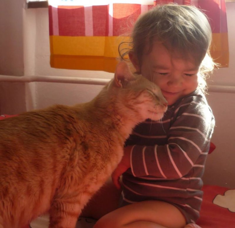 Las fotos que demuestran que todo niño necesita un gato en su vida. 