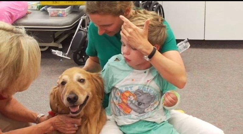 Algo milagroso sucedió cuando estos padre le presentaron a su hijo ‘casi sin vida’ a un perro. 
