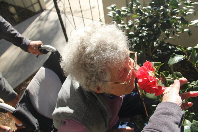 Esta anciana de 90 años padece cáncer, pero eligió irse de viaje con su familia en vez de tratarse. 