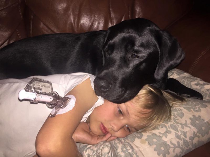 Gracias a su perro este niño pudo salvar su vida 