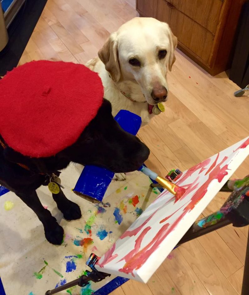 Dog-Vinci, el fantástico perro pintor  