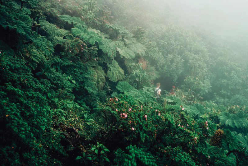 Fotógrafa retrata la selva nicaragüense de los excesos, el paraíso de los mochileros que no quieren reglas 