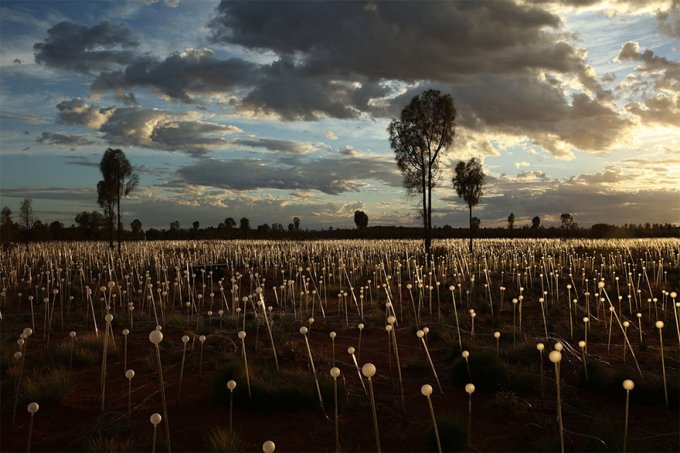 Este artista usa 50000 luces para convertir el desierto en un cuento de hadas  