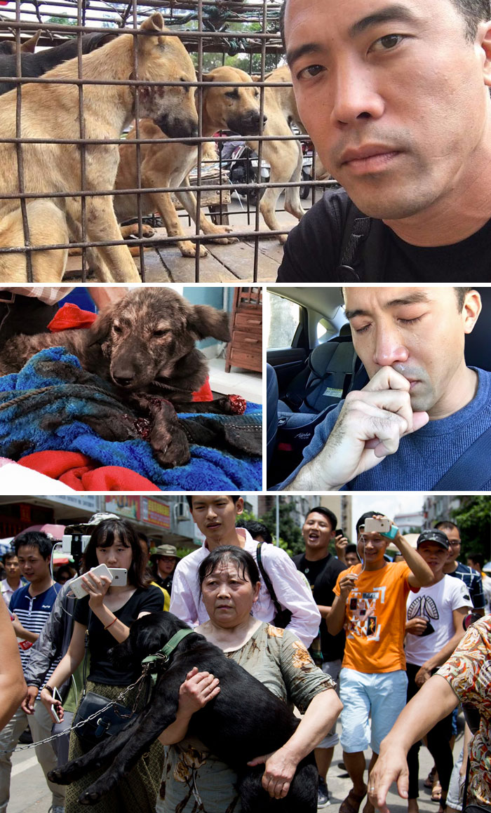 15 Historias de animales que nos ayudaron a recobrar la fe en la humanidad en 2016 