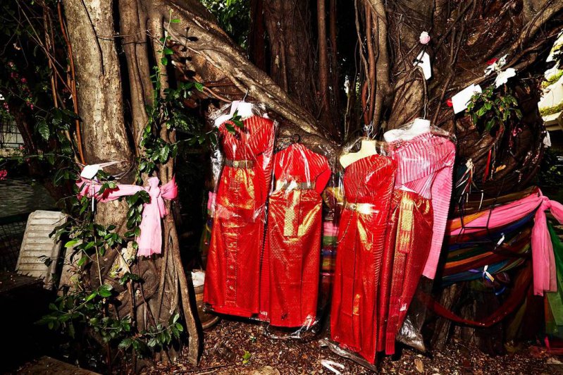 Lo curioso: Los penes espirituales de Tailandia, un santuario para la fertilidad 