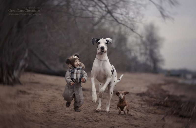 Hermosas imágenes de niños pequeños con sus espectaculares perros  