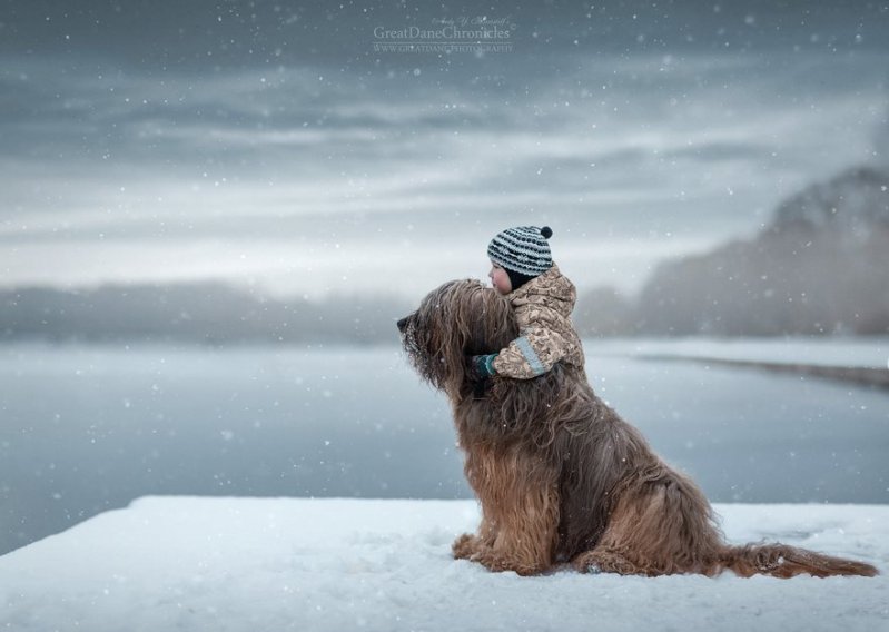 Hermosas imágenes de niños pequeños con sus espectaculares perros  