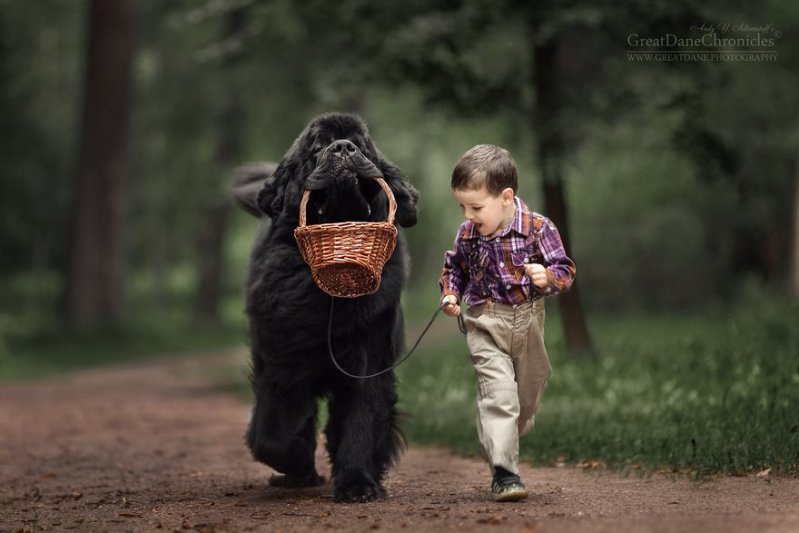 Hermosas imágenes de niños pequeños con sus espectaculares perros  