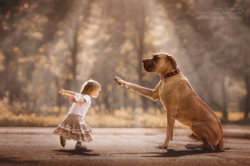 Hermosas imágenes de niños pequeños con sus espectaculares perros  