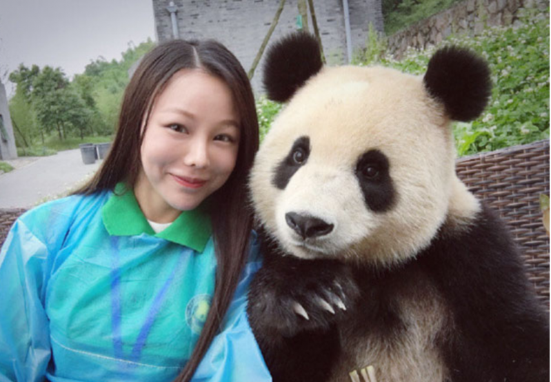 Este panda gigante es un maestro posando en los selfies 