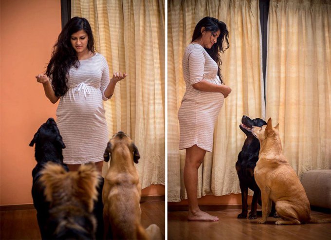 Les dijeron a esta pareja embarazada que se deshicieran de sus perros, y esto es lo que hicieron en respuesta 