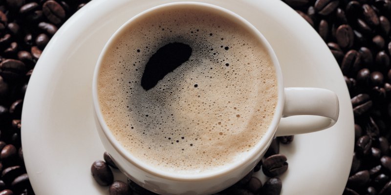 El café más caro del mundo viene de… ¿las heces de un elefante? 
