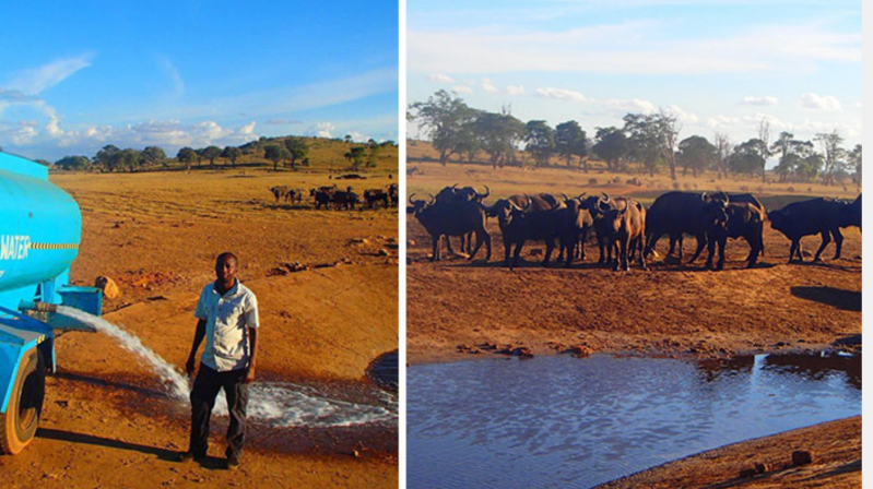 Este hombre conduce durante horas cada día de sequía para llevar agua a los animales salvajes sedientos 