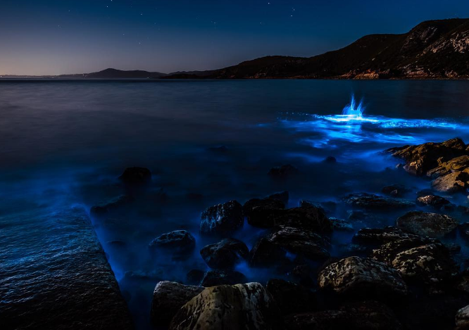 La maravillosa playa de Tasmania que se vuelve azul resplandeciente gracias a la naturaleza 
