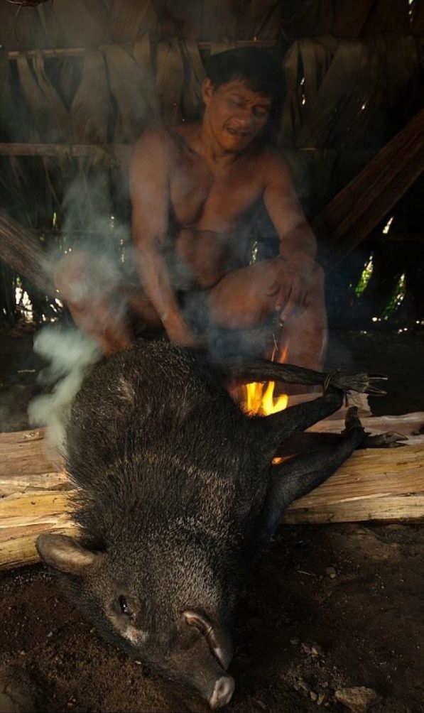 Para saber cómo viven los guaraníes, un fotógrafo británico vivió 12 días junto a ellos 
