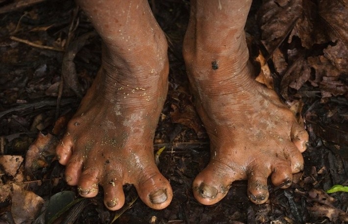 Para saber cómo viven los guaraníes, un fotógrafo británico vivió 12 días junto a ellos 