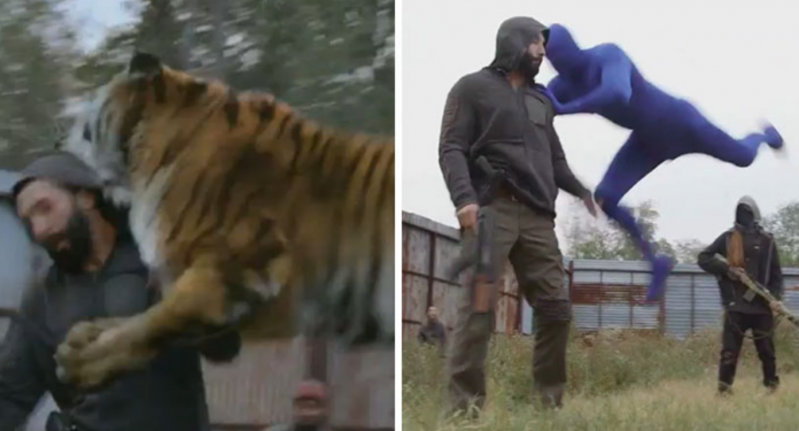 Tras ver esto, nunca mirarás igual al tigre de “The Walking Dead” 