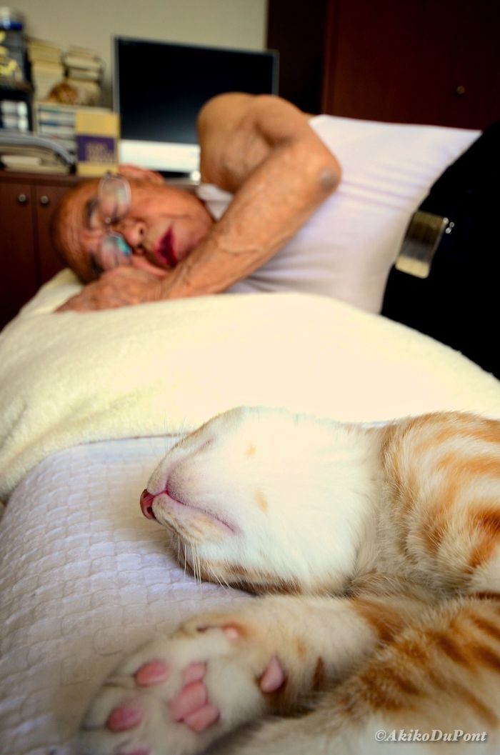 Le traje un gato a mi abuelo enfermo y gruñón, y le ha cambiado la vida 