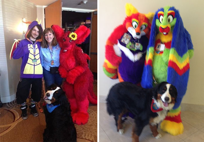 Esta mujer llevó a su perro a una “convención furry” sin saber que no era para mascotas, y se hizo famosa 