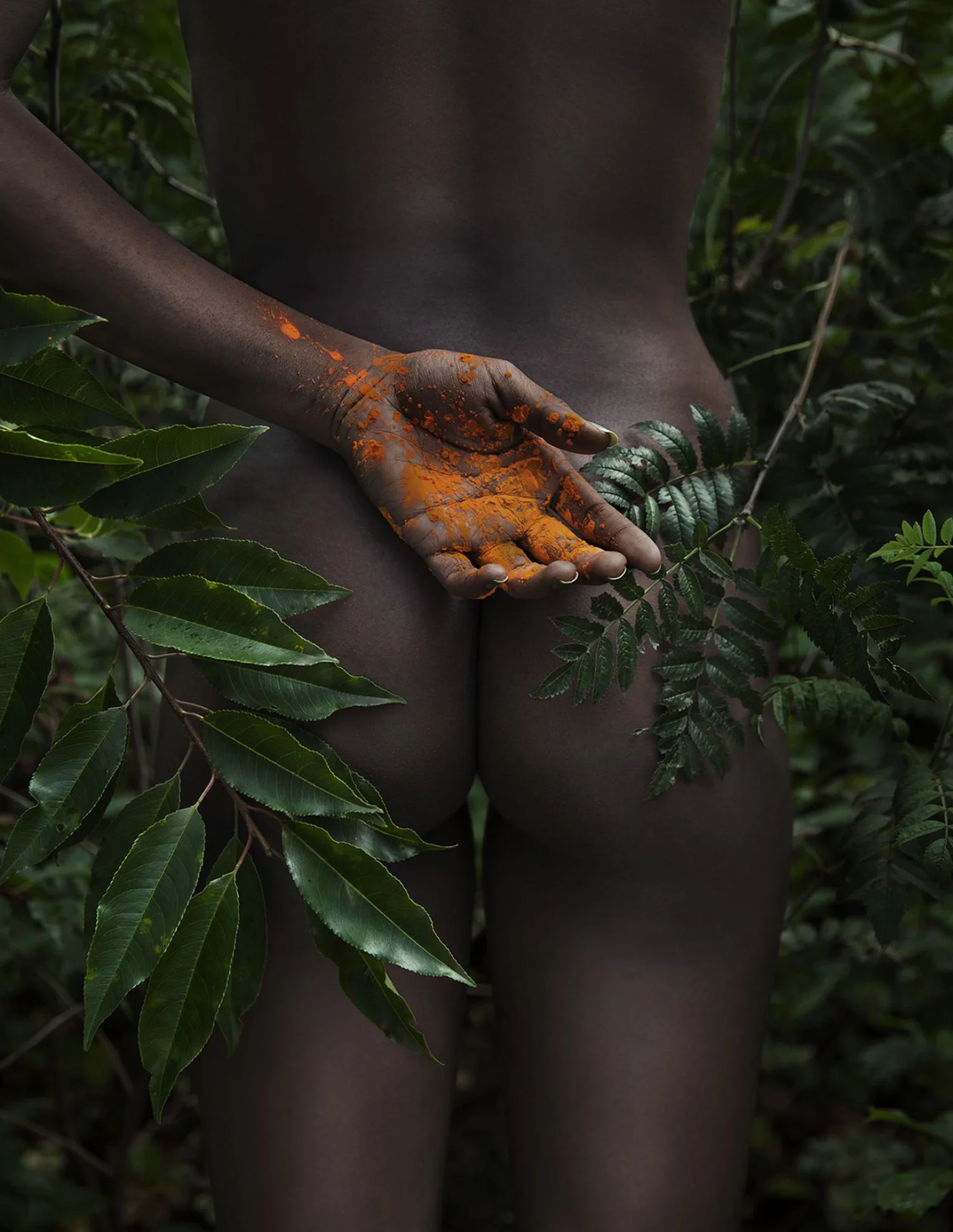 5 provocativas fotografías eróticas que le han dado la vuelta al mundo 