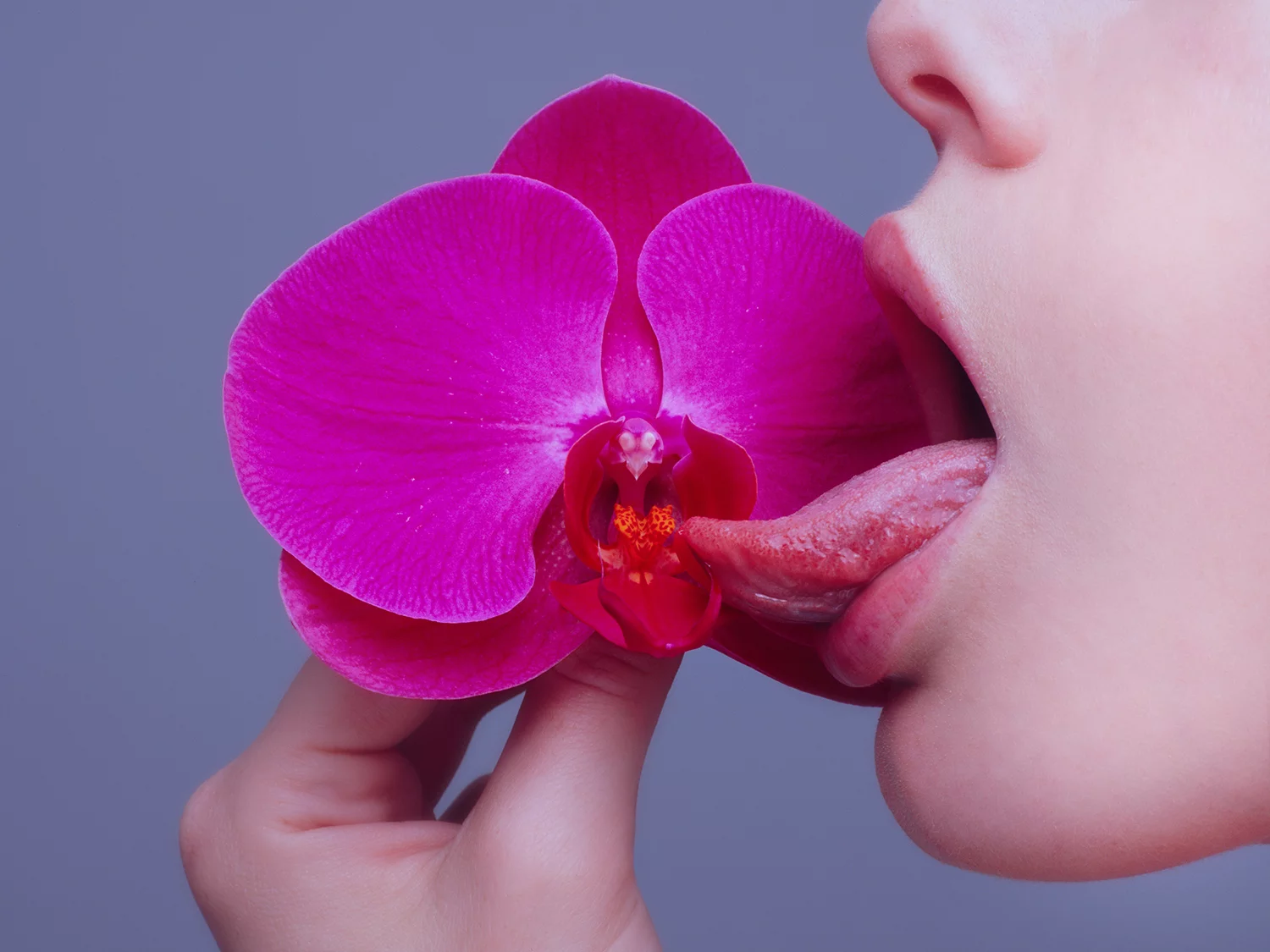 5 provocativas fotografías eróticas que le han dado la vuelta al mundo 